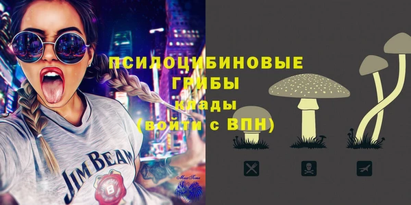 Альфа ПВП Алзамай