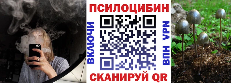 OMG рабочий сайт  Самара  Псилоцибиновые грибы мицелий 
