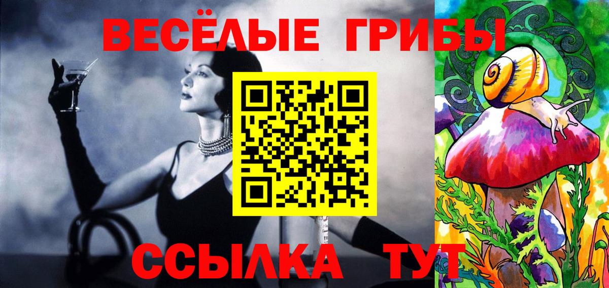 как найти закладки  Вход с VPN  Самара  Псилоцибиновые грибы мицелий  Псилоцибиновые грибы мицелий 