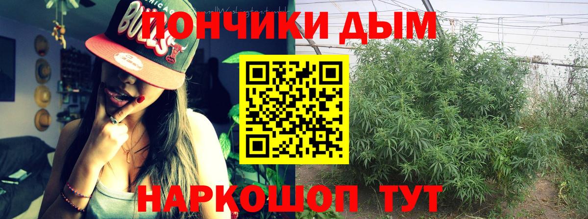 Конопля сатива  Вход с VPN  Бошки марихуана семена  Самара  МАРИХУАНА семена  Конопля ГИДРОПОН 